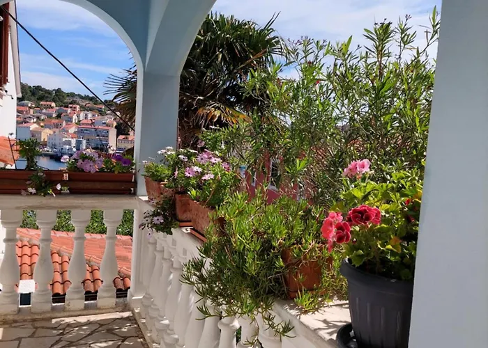 Star Мали-Лошинь