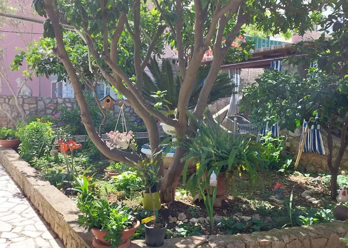 Star 4* Мали-Лошинь